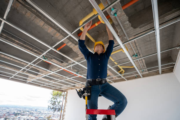 Best Clogged Drain Plumber  in Prairie Grove, IL